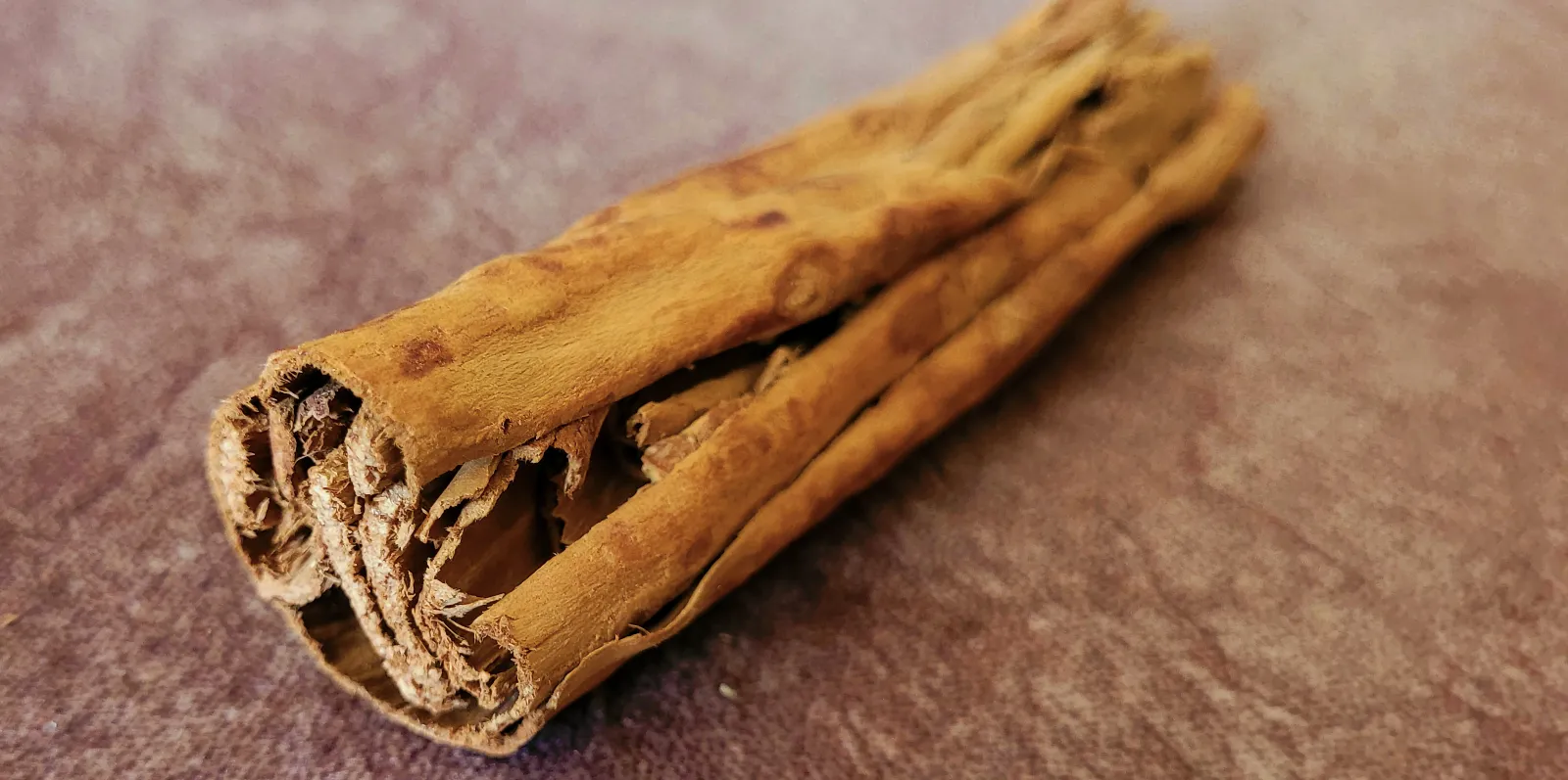 A close view of curled cinnamon bark on a softly mottled brown surface